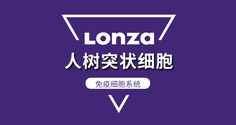 人树突状细胞